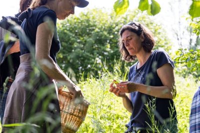 Sortie découverte des plantes sauvages