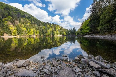 Regards sur le monde : conférence-cinématographique