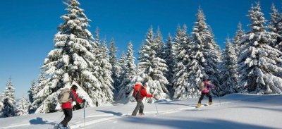 Itinéraire raquette des Trois Gouilles