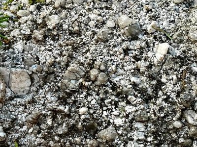 Junguer dans nôt' pays