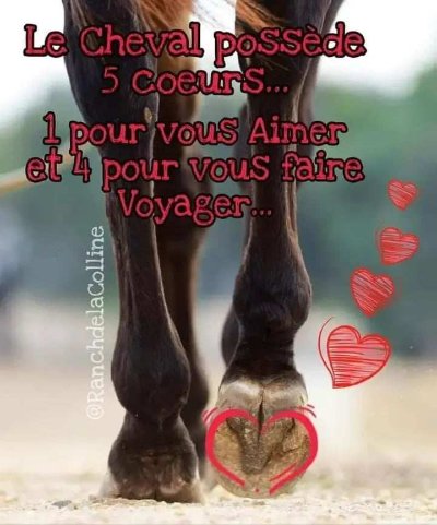 Ecurie de la Fontaine