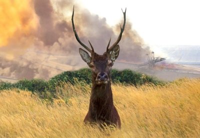 Ciné Débat - Le vivant qui se défend