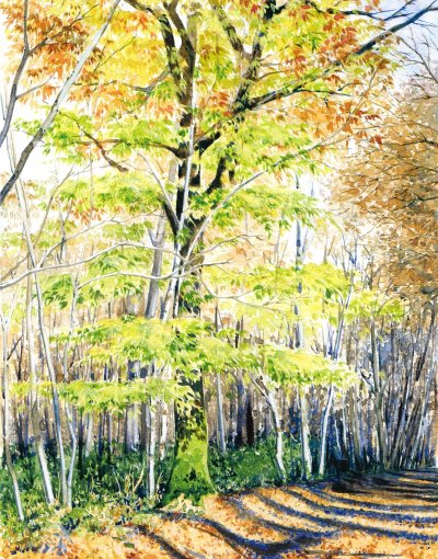 Exposition "Aquarelles" d'Isabelle Gatto-Sandri