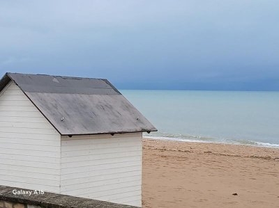 Exposition "Les Lionnais.es s'exposent..."
