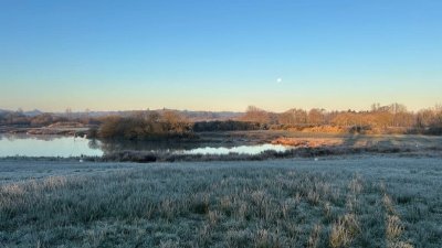 Nuit de la Chouette : à la découverte des rapaces nocturnes