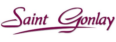 Conférence gesticulée