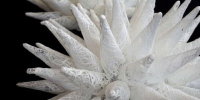 Exposition : Regards croisés