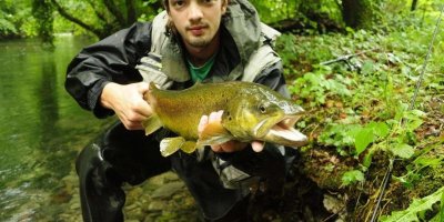 Ouverture de la pêche à la truite