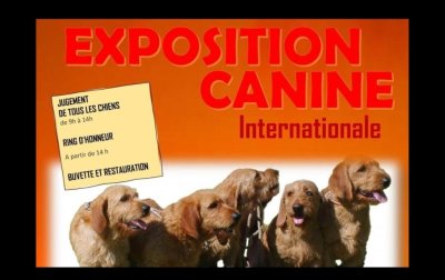 Exposition Canine Internationale