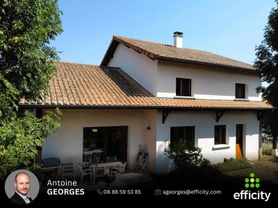 Atelier de calligraphie latine