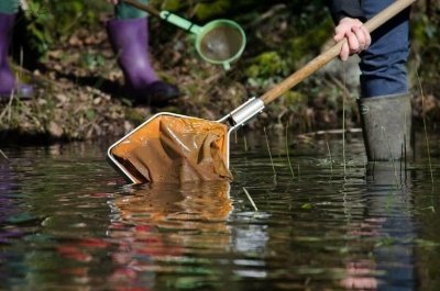 Sortie - Quand la mare se réveille
