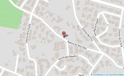 BALADE DÉCOUVERTE : SALADES SAUVAGES