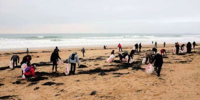Nettoyage du littoral et action sensibilisation et arrachage Baccharis