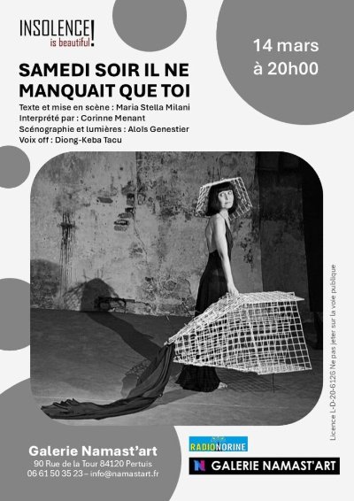 Insolence is Beautiful à la Galerie Namast'art