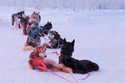 Journée festive de fin de saison