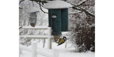 Fabriquez votre mangeoire à oiseaux