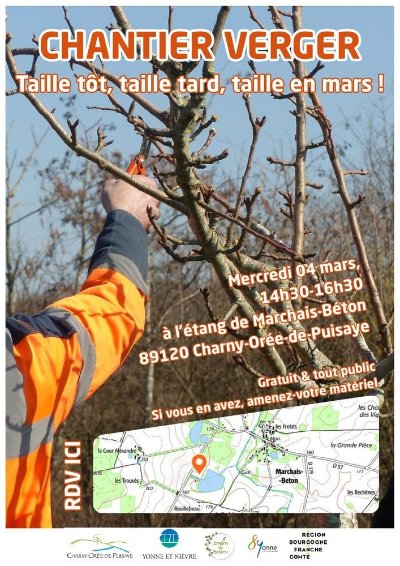 Formation à la taille d'un arbre fruitier