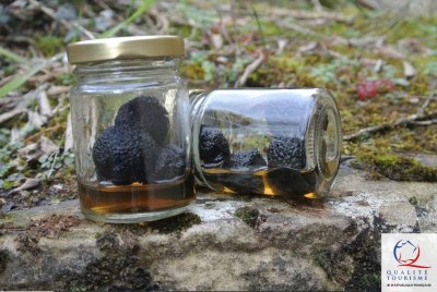 Découverte de la truffe Noire  en  Drôme des Collines - La Baume Saint-Antoine