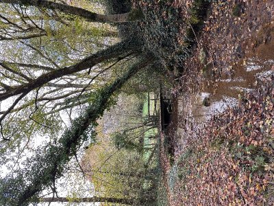 ENS -  Les sources de la Sèvre Niortaise