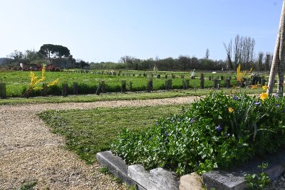 Arboretum de Sainte-Florence