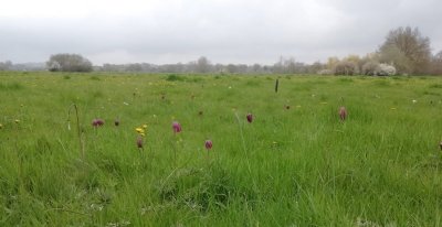 Espace Naturel Sensible La Prée des Cosses