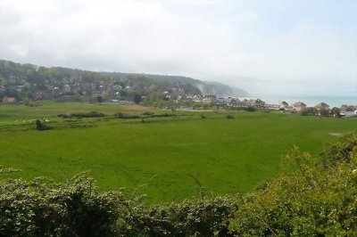 [Biodiversité littorale] Plage de Pourville-sur-Mer