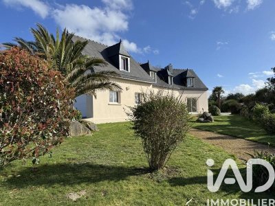 Exposition Tricots, café crème et cavalier