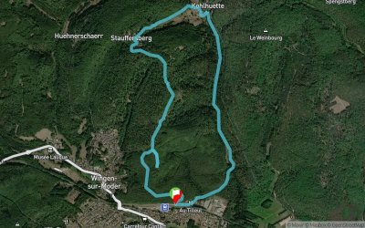 Lalique Moder Trail