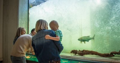 Exposition "Retour aux sources"