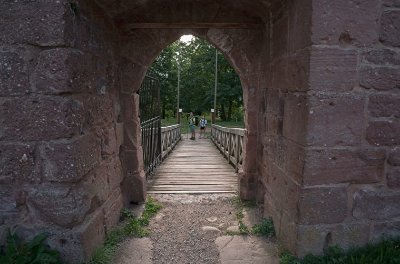 Concours d’illustration « Dessine-moi une créature de la terre ! »