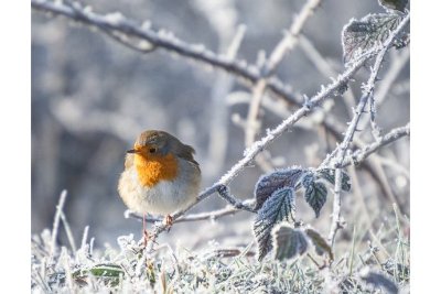 Sylvain Rouvier Photographie