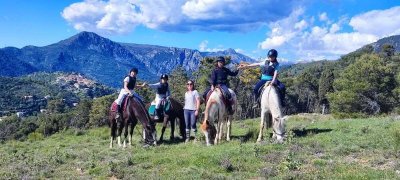 Centre équestre le Relais des Templiers