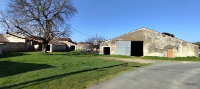 Exposition photographique Memento Mori