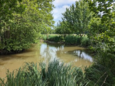 Argentan au fil de l’eau