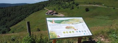 Réserve Naturelle des Hautes Chaumes du Rotenbach