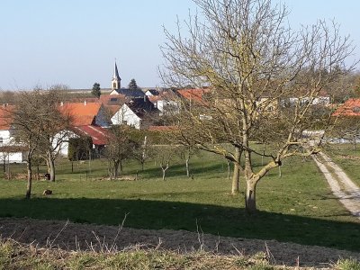 Sentier pédestre : Autour de Siegen