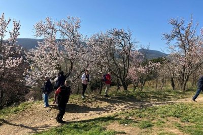Circuit rouge (grand) - Colline des amandiers
