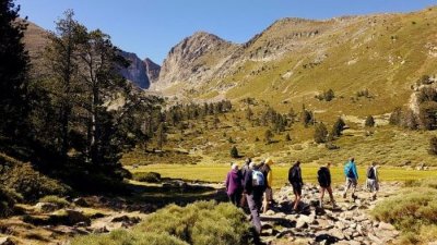 FESTIVAL CARTE BLANCHE