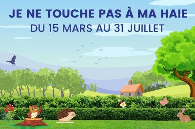 Atelier numérique - Mon empreinte numérique et moi : agir pour la planète