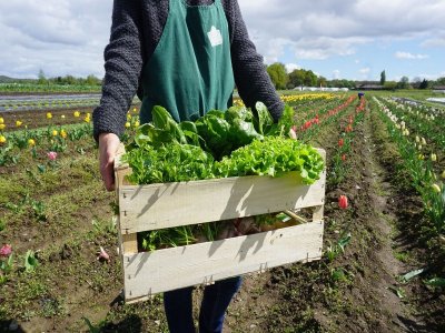 Animation à la Cueillette de L'Aragnon