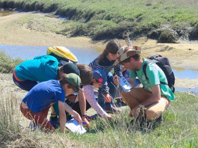Les habitants de la mare