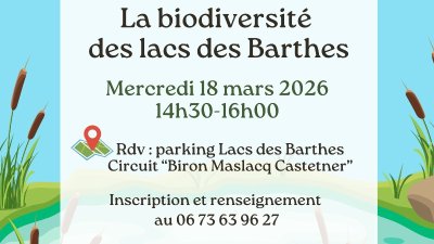 Sortie nature : La biodiversité des lacs