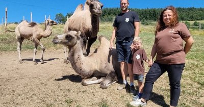 Ferme pédagogique le carré des animaux