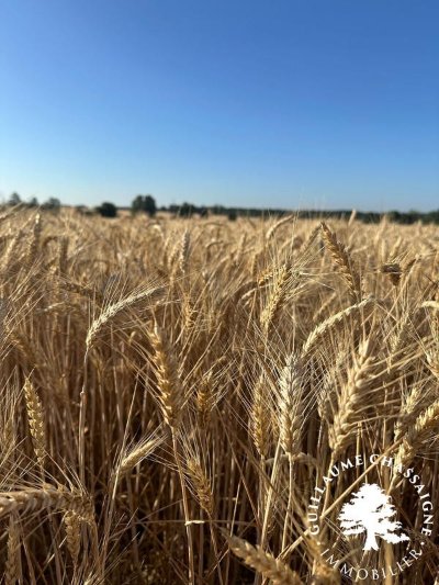 Grande bourse d'échange multi-collections