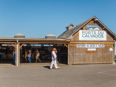 La photographie animalière par Baptiste Masson