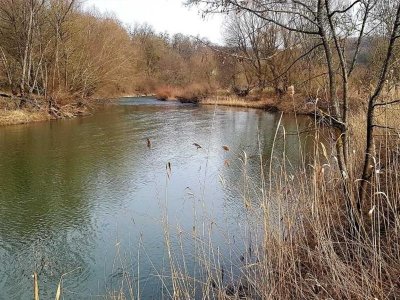 Conférence - La Sarre insolite