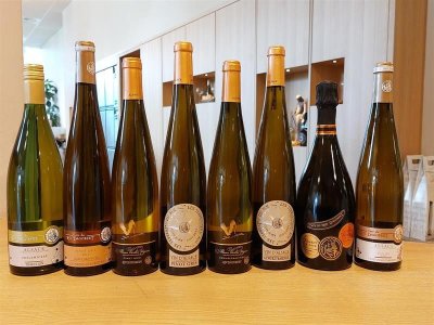 Apéro'Dago : soirée Chilienne