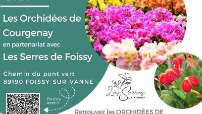 Exposition-vente d'orchidées