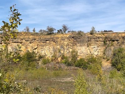 Les pelouses calcaires de Lorry Mardigny