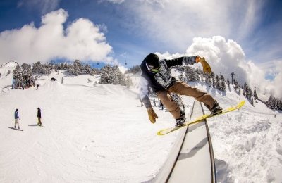 Bangingbees TOP TO BOTTOM